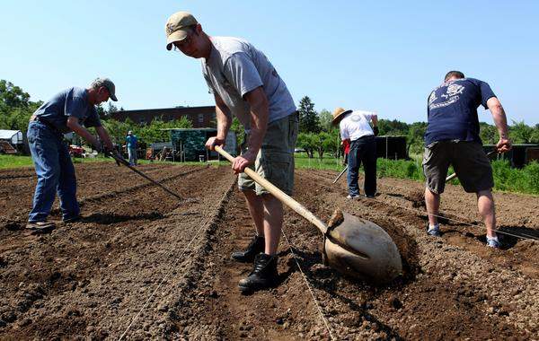 Volunteers working at the Pachamama Farm at Maryknoll, Ossining NY