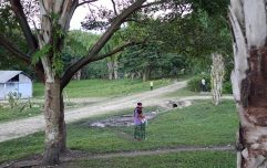 pht-cause-rescue-natural-ecosystem-guatemala (Guatemala) Rescue the Natural Ecosystem