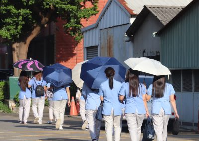 Vocation, Care of Creation, Social Justice Program